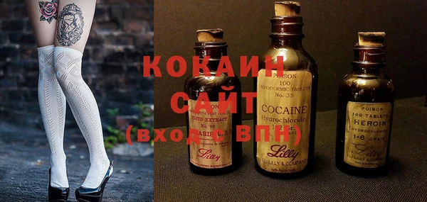 гидра Осинники
