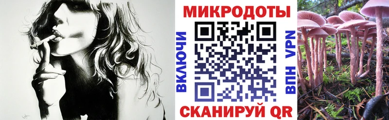 Галлюциногенные грибы GOLDEN TEACHER  Багратионовск 
